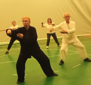 Scopri di più sull'articolo Taijiquan – Tai Chi